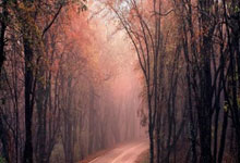 英超特攻|快車期穩陣行先 睇好賓福特半場守和曼城.