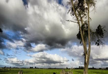 新利luck18官网登录入口：羅馬簽約沙特利雅得狂歡季 開創新的球衣廣告合作.