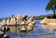 新利luck18官网登录入口：Scotto：猛龍計劃交易布魯斯-布朗 上賽季曾拒絕多個第二輪選秀權報價.